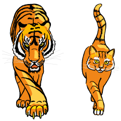 Are you a career tiger or house cat?